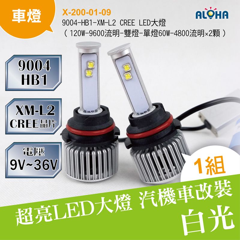 9004/HB1-XM-L2 CREE LED大燈